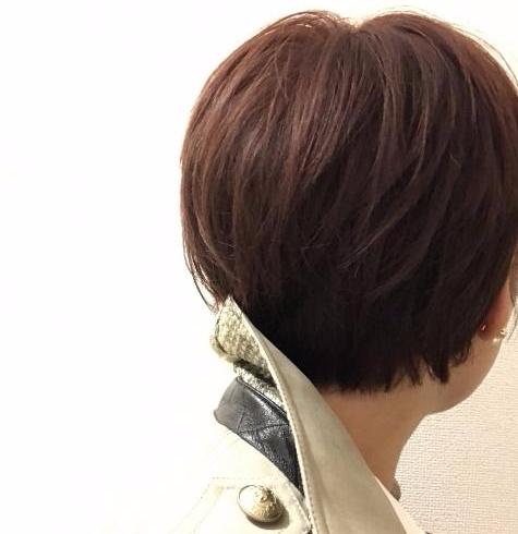 特集のイメージ