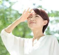 メニューのイメージ
