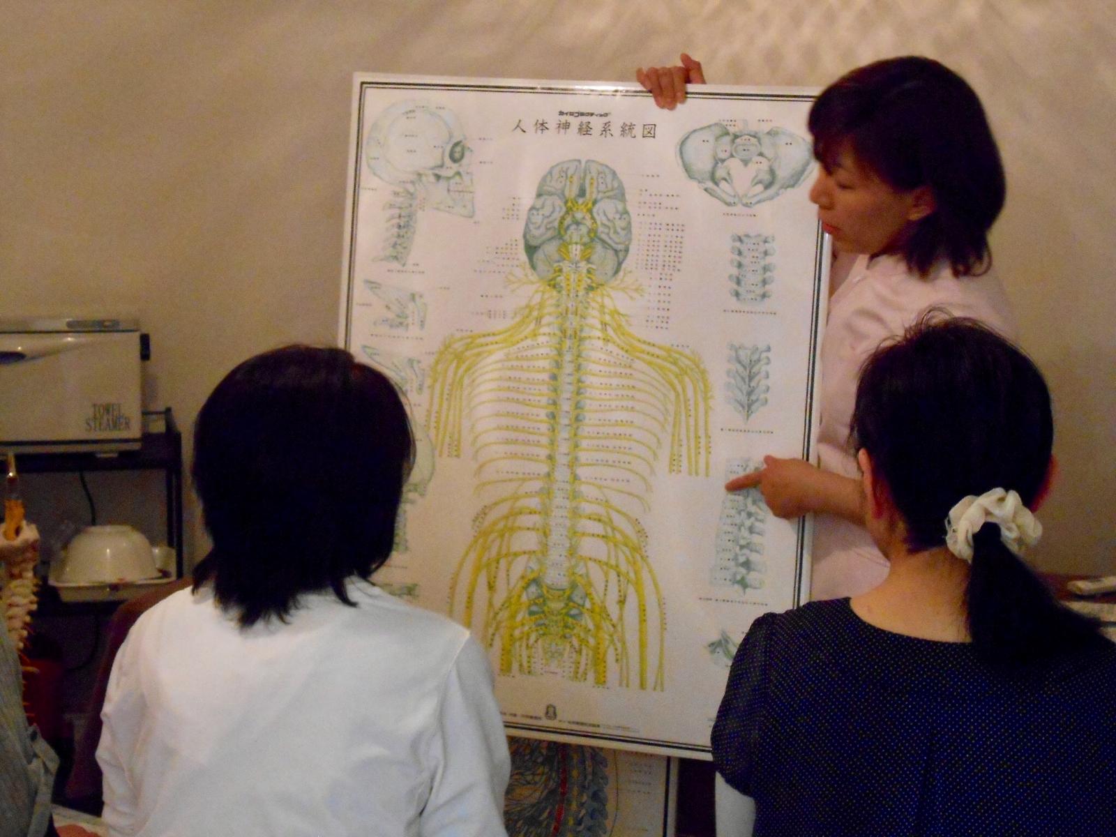 骨盤ダイエット体験講座のイメージ