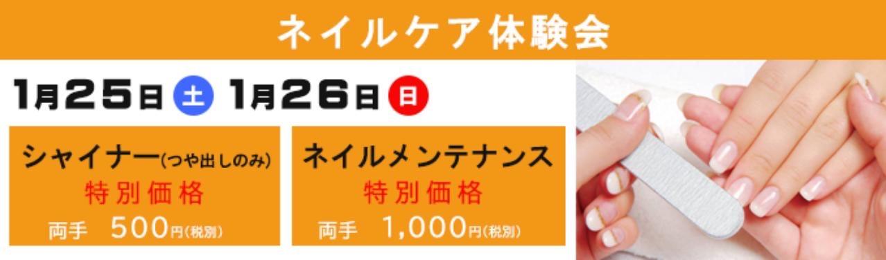 イメージ1