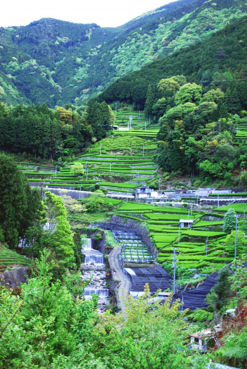 千代田タクシー株式会社・旅タクツアー【駿河 東海道おんぱく2020】★本プログラムは終了いたしましたイメージ1