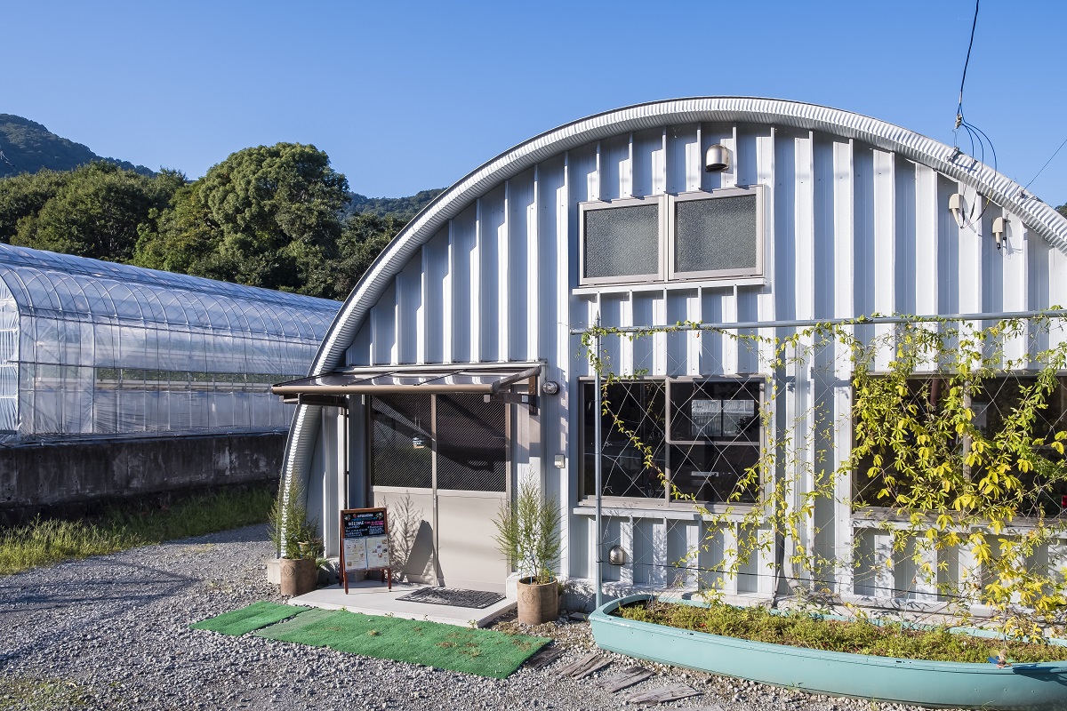 イエス!ストロベリーイメージ1