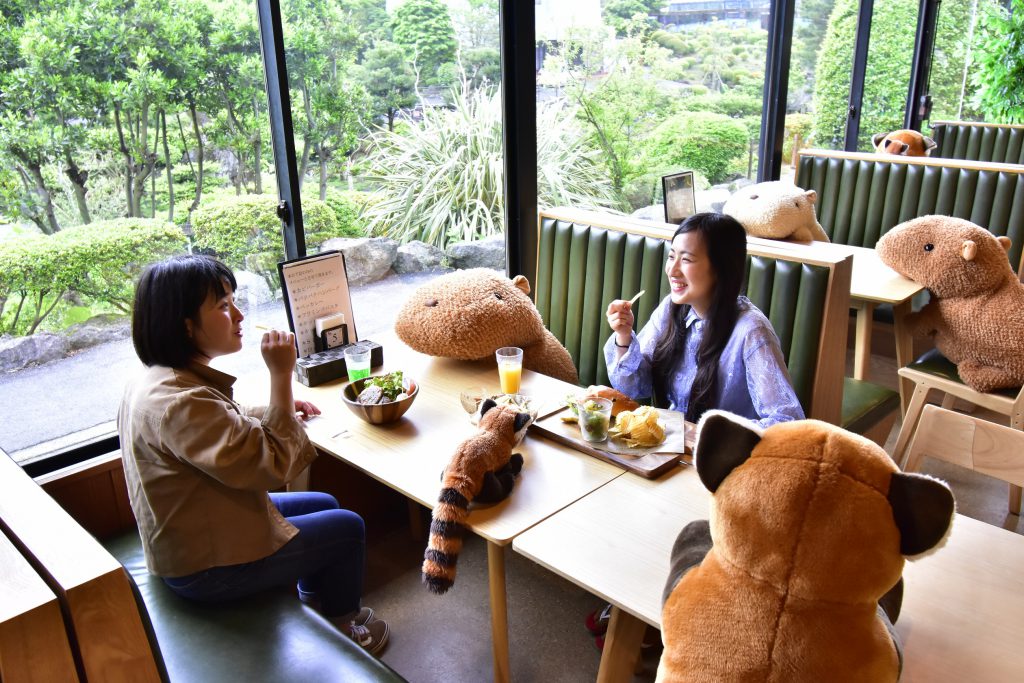 伊豆シャボテン動物公園イメージ1