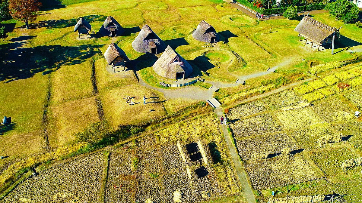 登呂遺跡・登呂博物館イメージ1