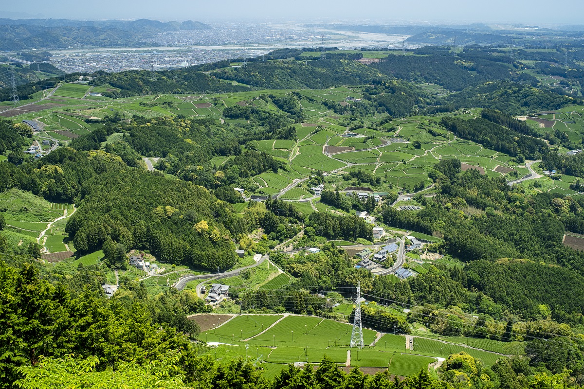 粟ヶ岳世界農業遺産茶草場テラスイメージ1