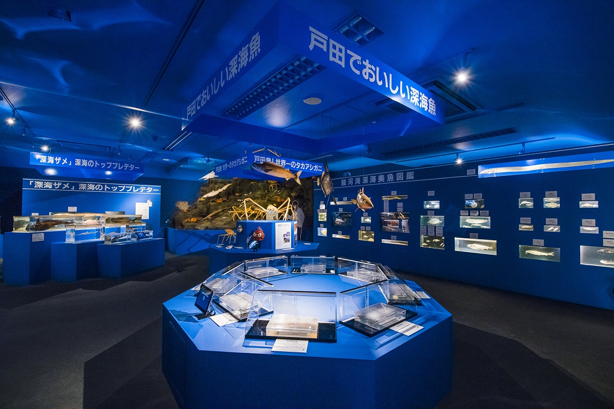 駿河湾深海生物館・戸田造船郷土資料博物館イメージ1